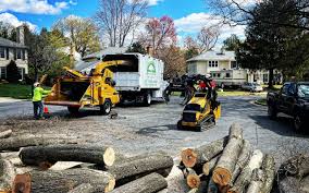 Best Tree and Shrub Care  in Valley Hill, NC