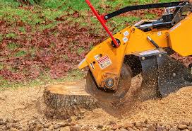 Best Utility Line Clearance  in Valley Hill, NC
