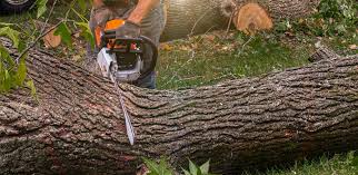 Soil Testing and Treatment in Valley Hill, NC