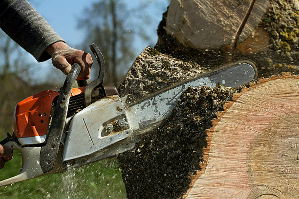 Best Soil Testing and Treatment  in Valley Hill, NC